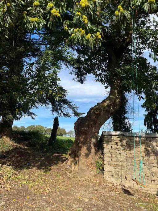 Gite Du Dolmen Guiscriff Экстерьер фото